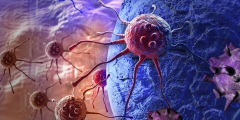 Alimta, Eli Lilly, Hexal, generics