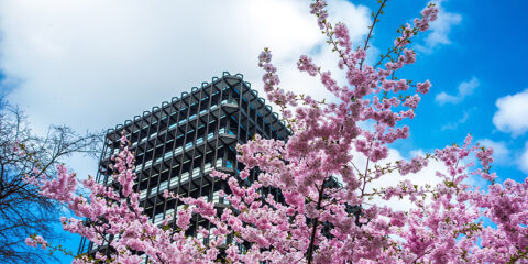 European Patent Office, Munich, EPO strategy