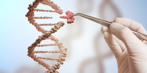 CRISPR-Cas