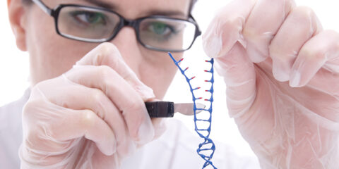 CRISPR-Cas gene-cutting patents