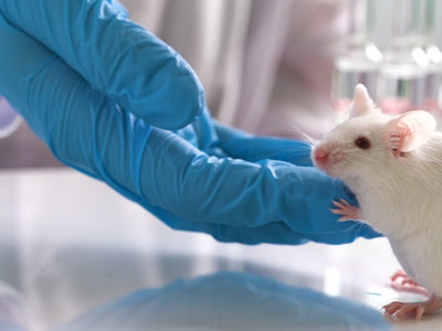 Regeneron, Kymab, transgenic mice