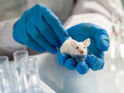 Transgenic mice, Kymab and Regeneron