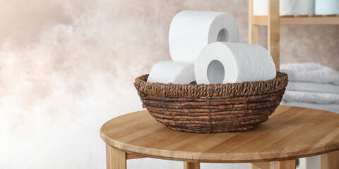 toilet paper patent, Dentons, Hoyng ROKH Monegier