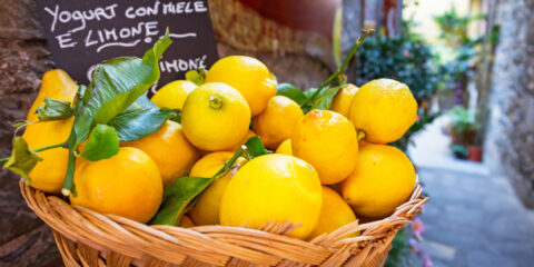 Italian patent market
