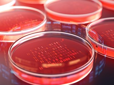 CRISPR patent, inventive step