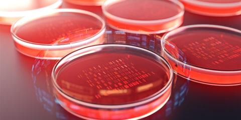 CRISPR patent, inventive step