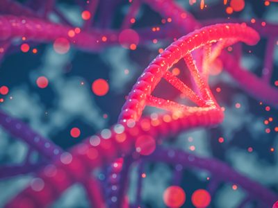 Toolgen, CRISPR