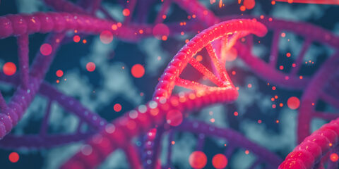Toolgen, CRISPR