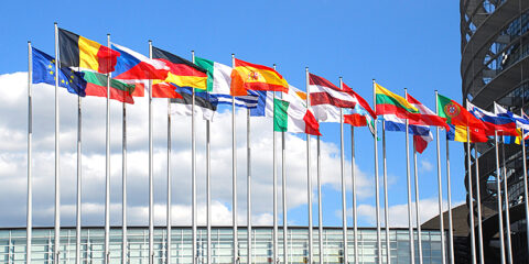 UPC, constitutional complaints