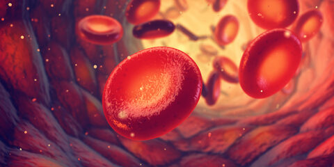 Fibrogen, Akebia