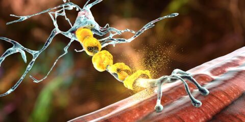 patent, fingolimod