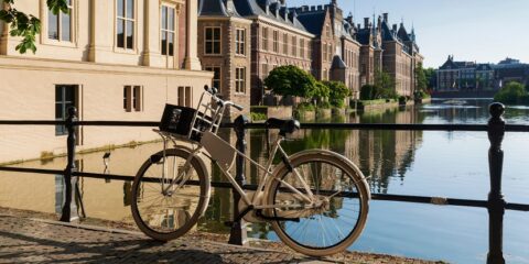 The Hague, patent cases
