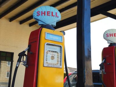 Shell, Ensygnia