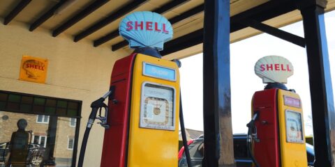 Shell, Ensygnia