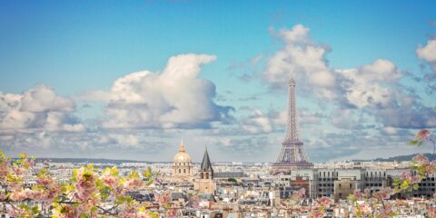 Viatris, MSD, Paris