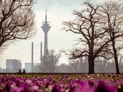 Düsseldorf, Thomas Kühnen, patent courts, retirement