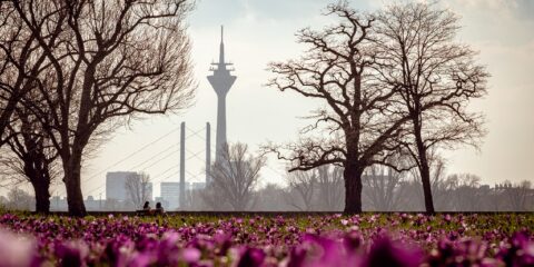 Düsseldorf, Thomas Kühnen, patent courts, retirement