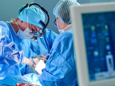 Edwards Lifesciences, Meril Life Sciences, Paris central division, revocation, heart-valve tech