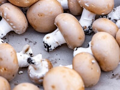 Amycel, Spyra Szymon Spyra, mushrooms, UPC, local division The Hague