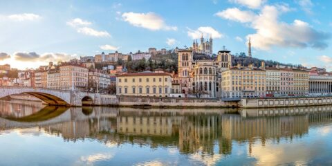 disparagement, Qiagen, bioMerieux, France,