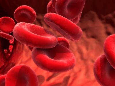 red blood cells, Slexion, Soliris, eculizumab, samsung bioepis, UK High Court