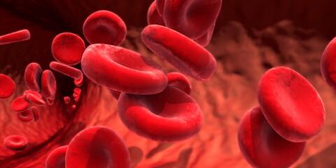 red blood cells, Slexion, Soliris, eculizumab, samsung bioepis, UK High Court