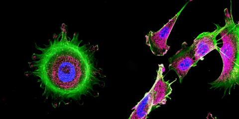 Curio Bioscience, 10x Genomics, UPC, transcriptonomics
