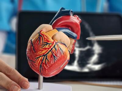 Edwards Lifesciences, Meril, heart valves