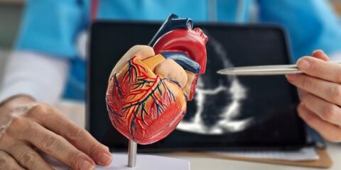 Edwards Lifesciences, Meril, heart valves
