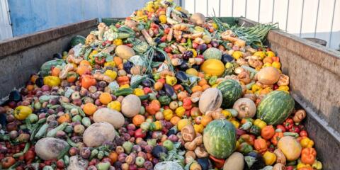 Winnow, Orbisk, food waste