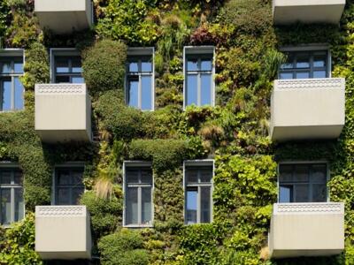 EBA, EPO Enalrged Board of Appeal, Knauf, Rockwool, hydroponics, patent claims, descriptions