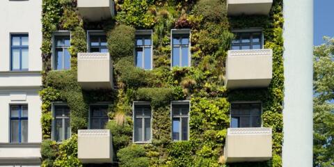 EBA, EPO Enalrged Board of Appeal, Knauf, Rockwool, hydroponics, patent claims, descriptions