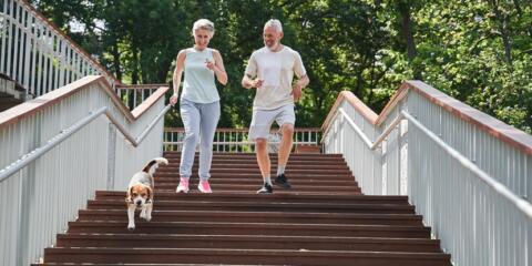 Merz, Viatris, Fampridin Viatris, multiple sclerosis