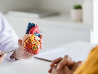 edwards lifesciences, heart valve, meril, EPO, UPC