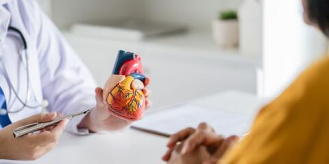 edwards lifesciences, heart valve, meril, EPO, UPC