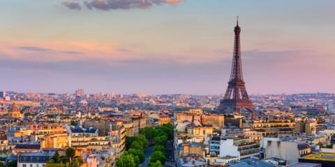 plasseraud, cabinet netter, jeremie Palacci