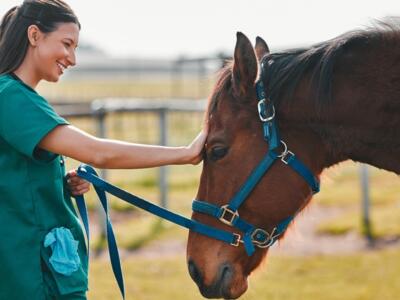 Boehringer Ingelheim, CJEU