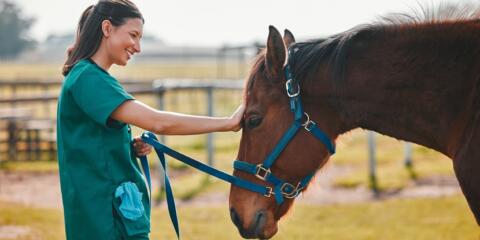 Boehringer Ingelheim, CJEU