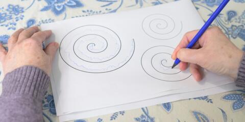 Vivanta, Newron, safinamide, Xadago, Hoyng ROKH, District Court The Hague