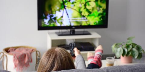 Dolby, Beko, Arçelik, Bardehle Pagenberg, Meissner Bolte