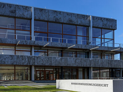 HMD, VoiceAge, constitutional complaint