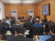 Local division Mannheim, ZTE, Samsung, Peter Tochtermann, FRAND