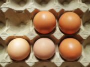 Omnipac, Hartmann, egg packaging