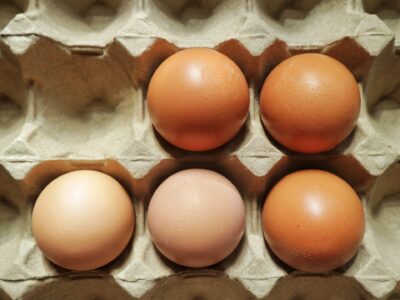 Omnipac, Hartmann, egg packaging