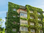 Knauf, Rockwool, Enlarged Board of Appeal, EPO, EPC