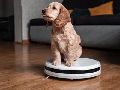 Ecovacs, Roborock, Tineco, Kärcher, Papst Licensing, smart vacuum cleaners